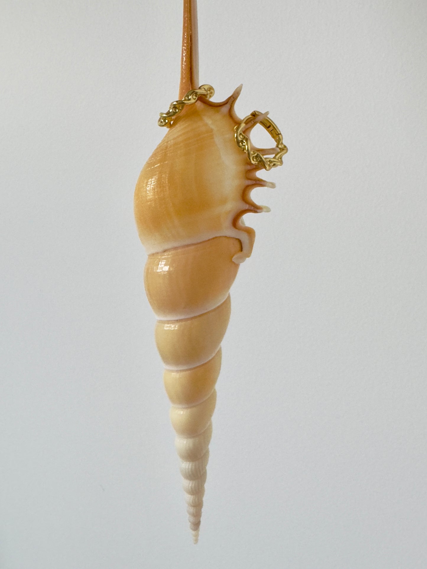 Kelp Twist 14K gold fill Huggie Hoops