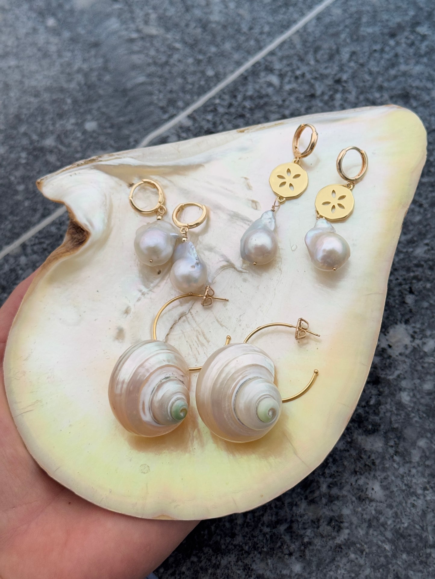 Pearlescent spiral shell hoop earrings