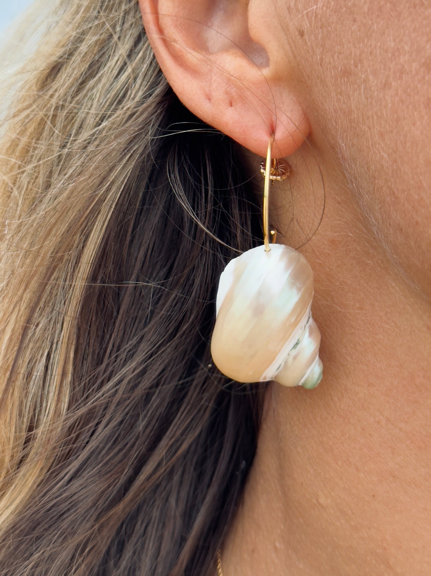 Pearlescent spiral shell hoop earrings