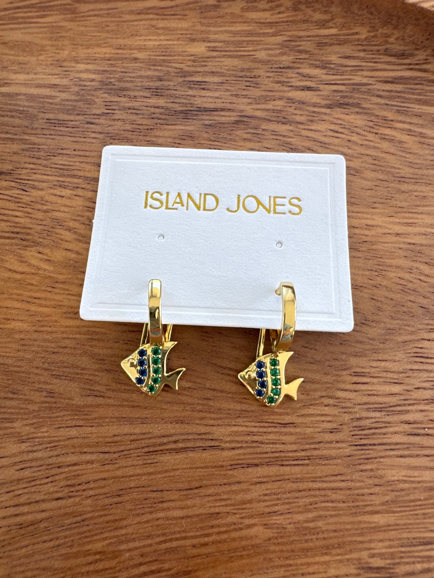 Abundance 14K gold fill fish hoops