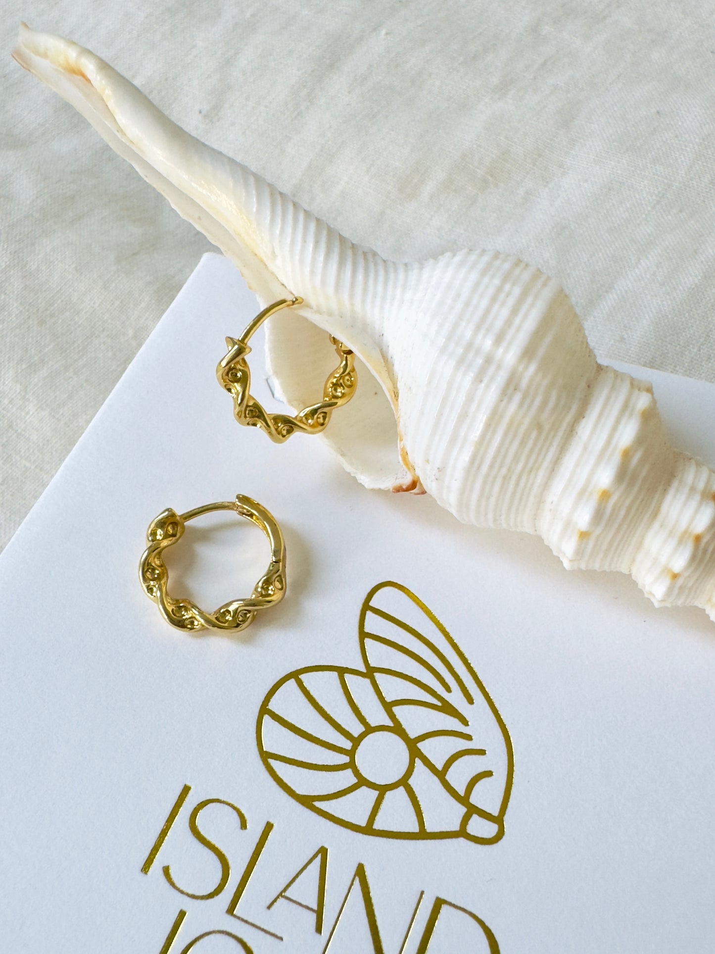 Kelp Twist 14K gold fill Huggie Hoops