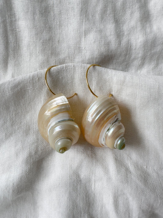 Pearlescent spiral shell hoop earrings