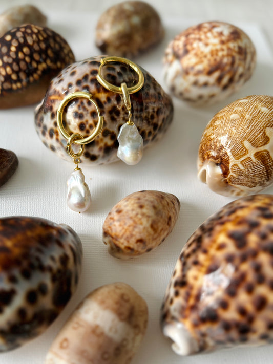 Vlasoff pearl Earring hoops